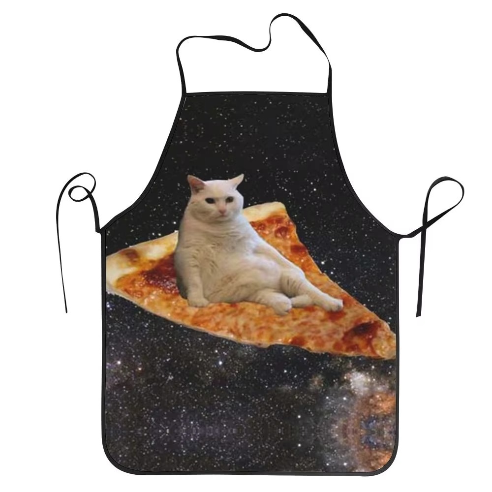 1PC Unisex Space Pizza Cat Far – Home Cooking For Cats recenzja i cena